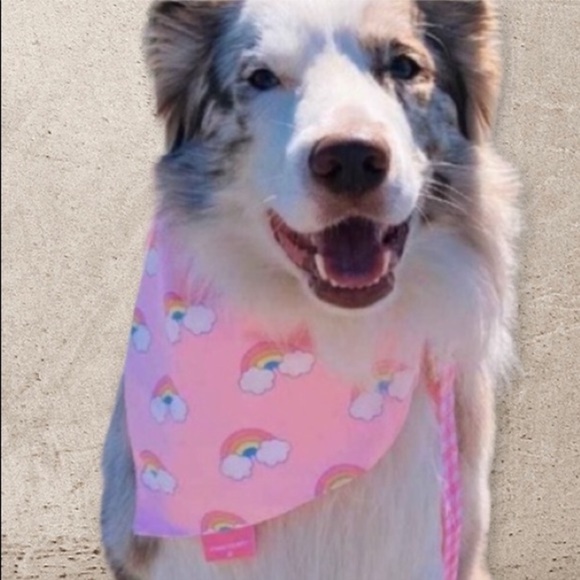 Stoney Clover Lane Other - Stoney Clover Lane Limited Edition Reversible Pet Bandana